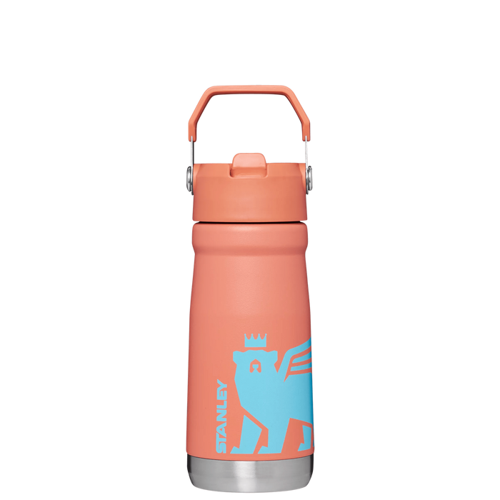 The Wild Imagination IceFlow™ Flip Straw Water Bottle | 17 OZ