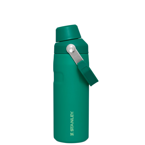 IceFlow™ Bottle with Fast Flow Lid | 16 OZ - View Product Details